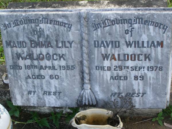 Maud Emma Lily WALDOCK,  | died 18 April 1955 aged 60 years;  | David William WALDOCK,  | died 29 Sept 1978 aged 89 years;  | Tiaro cemetery, Fraser Coast Region  | 
