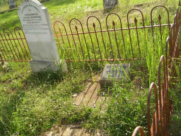Fanny WALDOCK,  | died 12 Oct 1874 aged 38 years;  | William Marriott WALDOCK,  | born 6-11-1830,  | died 21-8-1894 horse & dray accident;  | WALDOCK reunion 20-8-1994;  | Tiaro cemetery, Fraser Coast Region  | 