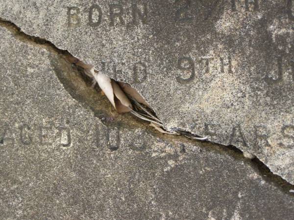 James MCDOUGALL,  | died 7 June 1920 aged 70 years;  | Jane MCDOUGALL,  | born 27 Oct 1827,  | died 9 June 1931 aged 103 years 7 months;  | Tiaro cemetery, Fraser Coast Region  | 