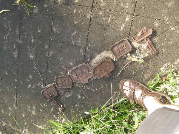 Tiaro cemetery, Fraser Coast Region  | 