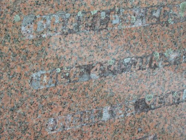 Charles CONNORS,  | died 4 June 1928 aged 35 years;  | Tiaro cemetery, Fraser Coast Region  | 