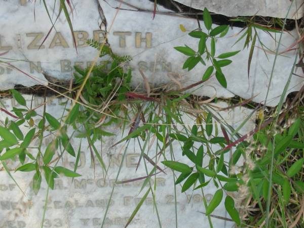 Elizabeth,  | wife of N. BERTELSEN,  | died Dec 1900? aged 32 years;  | Eliza Jane,  | wife of G.H. MCGREGOR,  | died New Zealand 2 Feb 1901 aged 33 years;  | daughters of Mary Jane OLSEN;  | Tiaro cemetery, Fraser Coast Region  | 