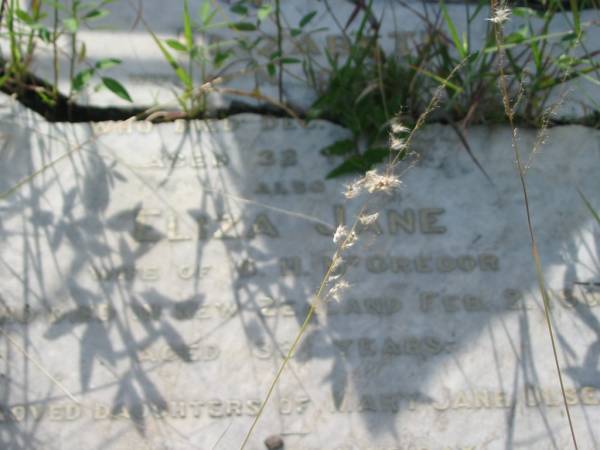 Elizabeth,  | wife of N. BERTELSEN,  | died Dec 1900? aged 32 years;  | Eliza Jane,  | wife of G.H. MCGREGOR,  | died New Zealand 2 Feb 1901 aged 33 years;  | daughters of Mary Jane OLSEN;  | Tiaro cemetery, Fraser Coast Region  | 