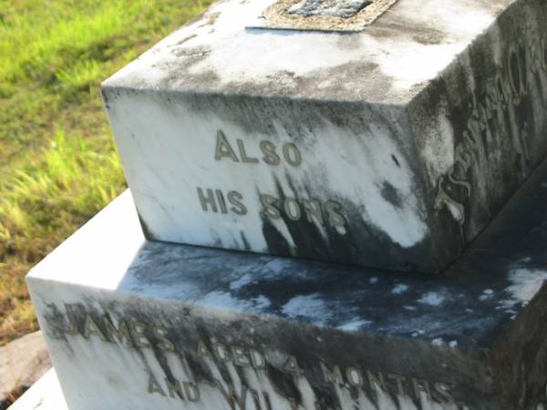 James REID,  | died 27 Jan 1884 aged 42 years;  | James,  | son,  | aged 4 months;  | William,  | son,  | aged 11 years;  | erected by wife Ellen REID;  | Tiaro cemetery, Fraser Coast Region  | 