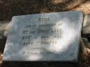 
Rene daughter of Wm and Emily LEES died 13 Nov 1898 aged 7 months,
Tingalpa Christ Church (Anglican) cemetery, Brisbane
