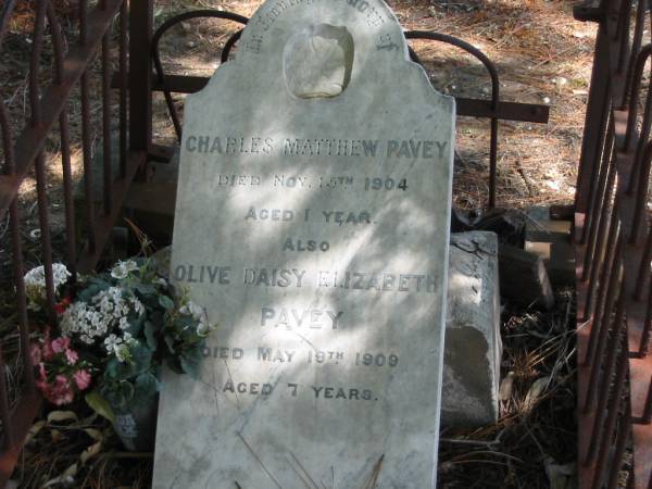 Charles Matthew PAVEY died 15 Nov 1904 aged 1 year,  | Olive Daisy Elizabeth PAVEY died 19 May 1909 aged 7 years,  | Tingalpa Christ Church (Anglican) cemetery, Brisbane  | 