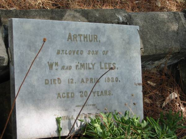 Arthur son of Wm and Emily LEES died 12 Apr 1920 aged 20 years,  | Tingalpa Christ Church (Anglican) cemetery, Brisbane  | 