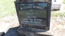 DSCN3959.JPG