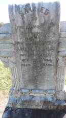 DSCN4050.JPG