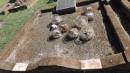 DSCN4063.JPG