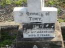 
Timy
son of
T and G MAHONEY
31 Mar 1920 aged 2
Toogoolawah Cemetery, Esk shire
