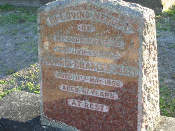 Morris Charles JOSEY  | 11 May 1955 aged 61  | Toogoolawah Cemetery, Esk shire  | 