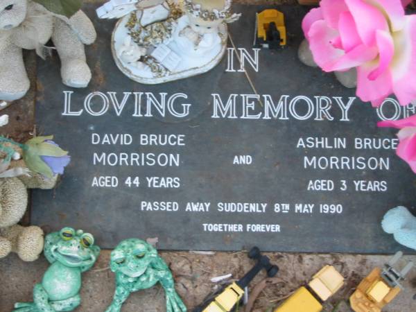 David Bruce MORRISON  | 8 May 1990 aged 44  | Ashlin Bruce MORRISON  | 8 May 1990 aged 3  | Toogoolawah Cemetery, Esk shire  | 