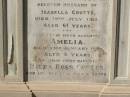 
Andrew PETRIE
d: 21 Jun 1896, aged 71

James Ross COUTTS
d: 19 Jul 1911, aged 61
(husband of Isabella Coutts)

Amelia COUTTS
d: 22 Jan 1900, aged 5
(their fifth daughter)

Hilda Ross COUTTS
d: 13 Sep-1920, aged 31
(their third daughter)

Isabella COUTTS
d: 17 Mar 1932

Brisbane General Cemetery (Toowong)
