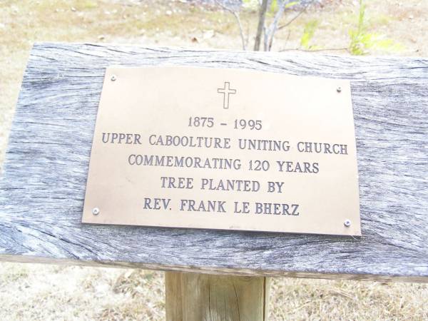 tree planted by Rev Frank LE BHERZ;  | Upper Caboolture Uniting (Methodist) cemetery, Caboolture Shire  | 