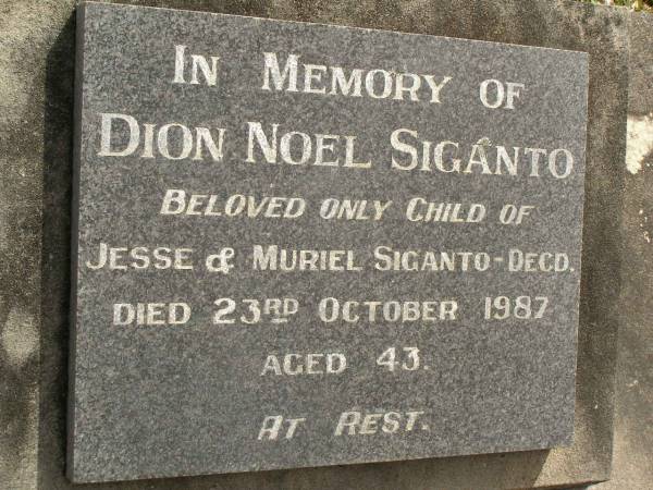 Dion Noel SIGANTO,  | only child of Jesse & Muriel SIGANTO (decd),  | died 23 Oct 1987 aged 43 years;  | Upper Coomera cemetery, City of Gold Coast  | 