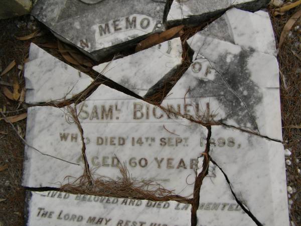 Sam'l [Samuel] BIGNELL,  | died 14 Sept 1898 aged 69 years;  | Mary Ann,  | wife,  | died 28 June 1933 aged 90 years;  | Sydney Kingston,  | son,  | killed in action France 10 April 1918 aged 25 years;  | Upper Coomera cemetery, City of Gold Coast  | 