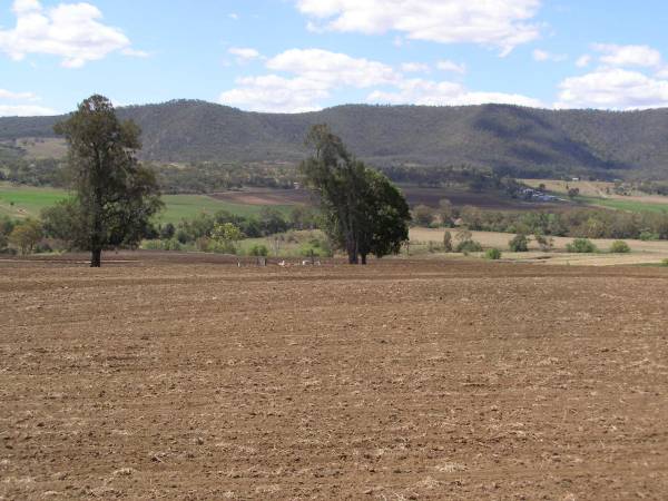 Upper Freestone Cemetery, Warwick Shire  | 