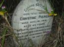 
Ernstine PIEPER
died Aug 10 1916 aged 63
Vernor German Baptist Cemetery, Esk Shire 
