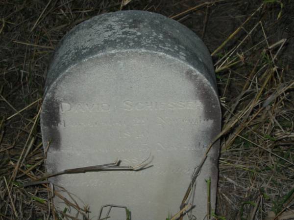 David SCHIESSER  | 29 Nov? 1810  | 15 Nov 1888  | Vernor German Baptist Cemetery, Esk Shire  | 