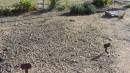 DSCN4880.JPG