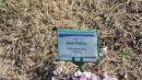 DSCN5098.JPG