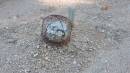 DSCN5184.JPG