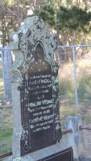 DSCN5214.JPG