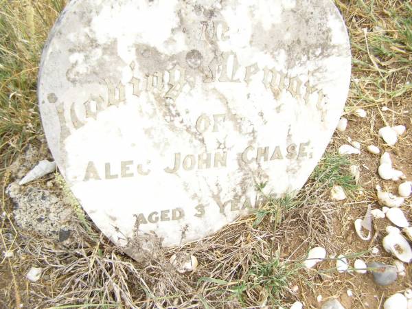 Alec John CHASE,  | aged 3 years;  | Warra cemetery, Wambo Shire  |