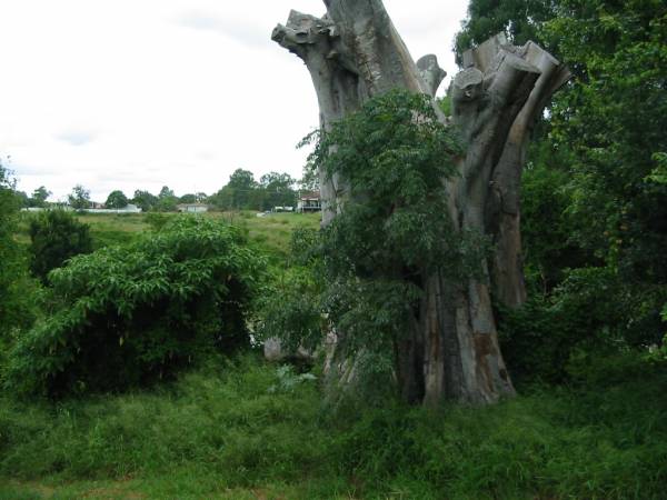 Henry Jordan Park (private cemetery), Waterford  | 