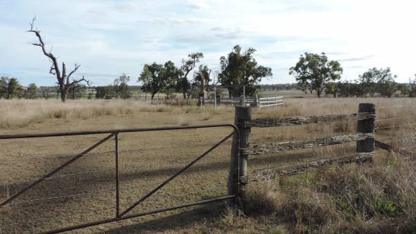 Westbrook cemetery, Toowoomba region  |   | 