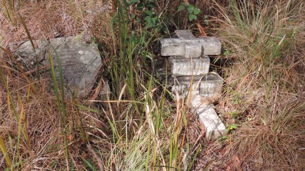 Thomas COOK  | d: 29 Jul 1913 aged 85  |   | Willsons Downfall cemetery,Tenterfield, NSW  |   | 