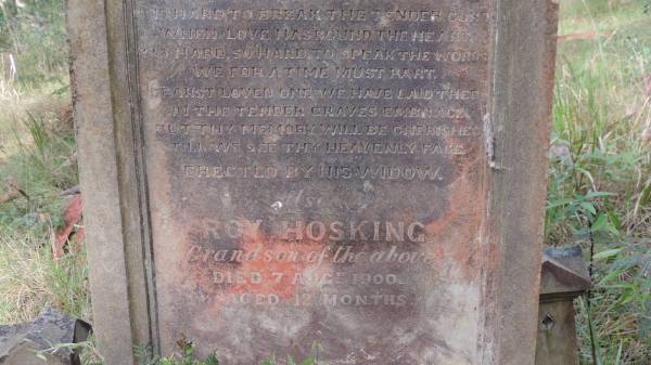 William PALMER  | d: 1 Sep 1882 aged 43  |   | grandson  | Roy HOSKING  | d: 7 Aug 1900 aged 12 mo  |   | Willsons Downfall cemetery,Tenterfield, NSW  |   | 