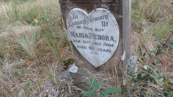 Maria REBORA  | d: 31 Aug 1908 aged 60  |   | Willsons Downfall cemetery,Tenterfield, NSW  |   | 