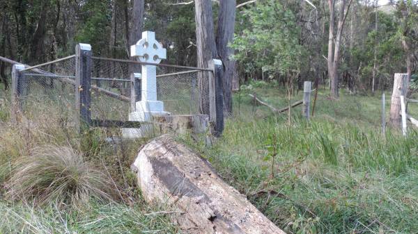 Patrick GALLAGHER  | d: 26 Jan 1916 aged 75  |   | Willsons Downfall cemetery,Tenterfield, NSW  |   | 