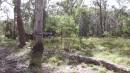 
Willsons Downfall cemetery,Tenterfield, NSW
