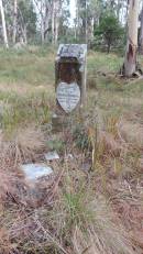 
Maria REBORA
d: 31 Aug 1908 aged 60

Willsons Downfall cemetery,Tenterfield, NSW

