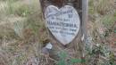 
Maria REBORA
d: 31 Aug 1908 aged 60

Willsons Downfall cemetery,Tenterfield, NSW

