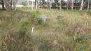 

Willsons Downfall cemetery,Tenterfield, NSW

