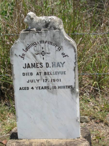 George Henry HAY  | 25 Jul 1927, aged 75  | Wilhelmina Minnie HAY  | 31 Oct 1941, aged 77  |   | James D HAY  | died at Bellevue 17 Jul 1901, aged 4 years 10 months  |   | Wivenhoe Pocket General Cemetery  |   | 