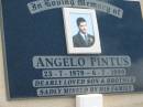 
Angelo PINTUS, son brother,
23-7-1979 - 6-7-1999;
Woodford Cemetery, Caboolture
