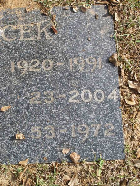 Vladimir MACEK  | 10290 - 1991  | Barbara MACEK  | 1923 - 2004  | Elizabeth MACEK  | 1953 - 1972  | Woodhill cemetery (Veresdale), Beaudesert shire  |   | 