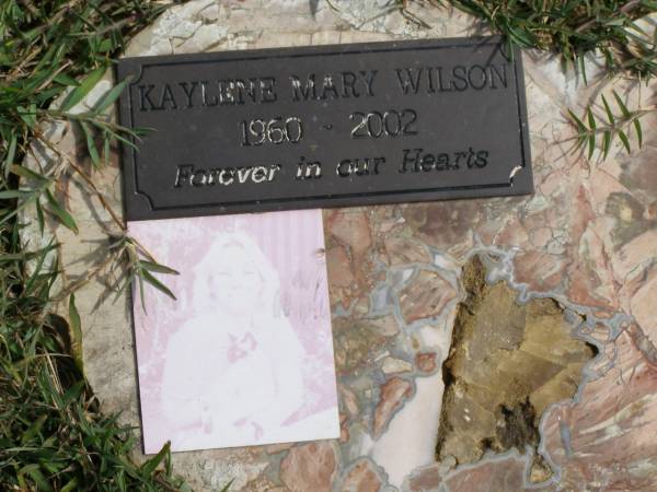 Kaylene Mary WILSON  | b: 11 Jun 1960, d: 18 Jul 2002  | (husband: Andy, mother of Jack, Riley)  |   | Woodhill cemetery (Veresdale), Beaudesert shire  |   | 