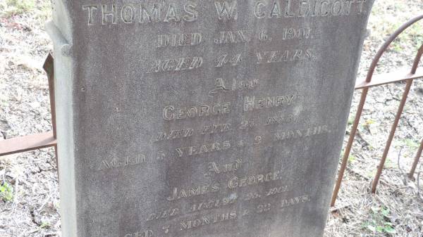 Isabella (CALDICOTT)  | d: 6 Jan 1901 aged 44  | wife of Thomas W CALDICOTT  |   | George Henry CALDICOTT  | d: 27 Feb 1886 aged 5 years 2 months  |   | James George CALDICOTT  | d: 25 Aug 1901 aged 7 months 22 days  |   | Yandilla All Saints Anglican Church with Cemetery  |   | 