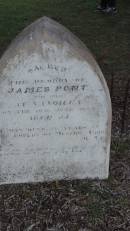 
James PONT
d: 19 Jun 1884 aged 54 at Yandilla

was over 30(?) years in the employ of messrs GORE and Co

Yandilla All Saints Anglican Church with Cemetery

