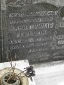 Harry Philip TREVOR d: 12 Dec 1959 aged 59  wife: Dorothy Myrtle TREVOR d: 20 Oct 1989 aged 79  Yandina Cemetery   