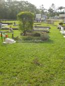  Yandina Cemetery   