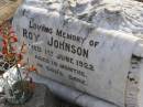 
Roy JOHNSON,
died 1 June 1922 aged 10 months;
Yangan Anglican Cemetery, Warwick Shire
