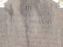 Henry HILLERY, husband, born Sydney 17 Sept 1845 died Emu Vale 4 Nov 1893; Yangan Anglican Cemetery, Warwick Shire 