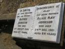 
Alfred JOHNSON,
husband father,
died 8 Aug 1951 aged 67 years;
Alice May JOHNSON,
mother,
died 24 Dec 1961 aged 64 years;
Yangan General cemetery, Warwick Shire
